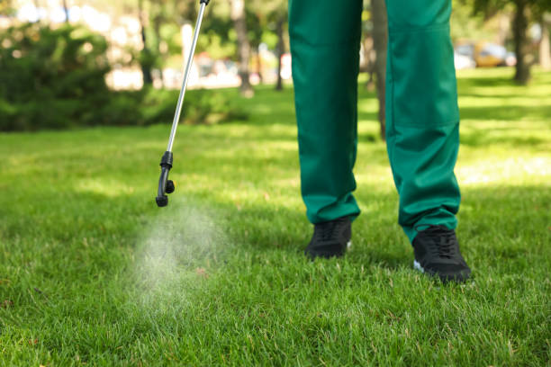 Best Wasp Removal Services  in Buxton, NC